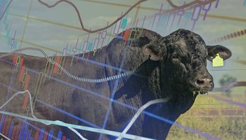 Mercado em movimento: últimas sobre JBS, Ouro Fino, Bayer, Marfrig e outras