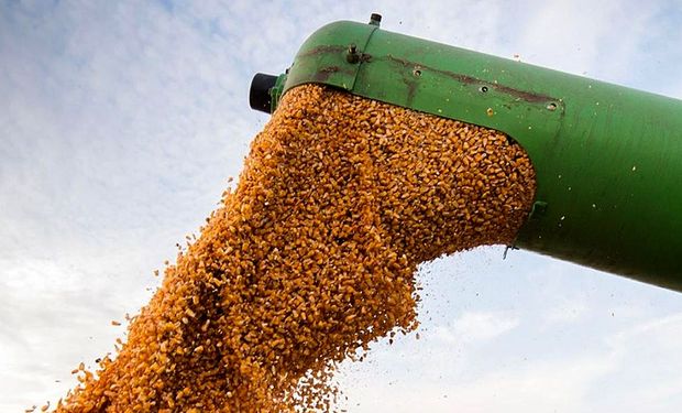 Incertidumbre local: en una jornada con poco volumen, qué precio se pagó por soja, trigo y maíz en Rosario