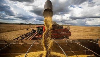 Soja, trigo y maíz: la oferta y demanda mundial en nueve gráficos y el dato que alertó al mercado