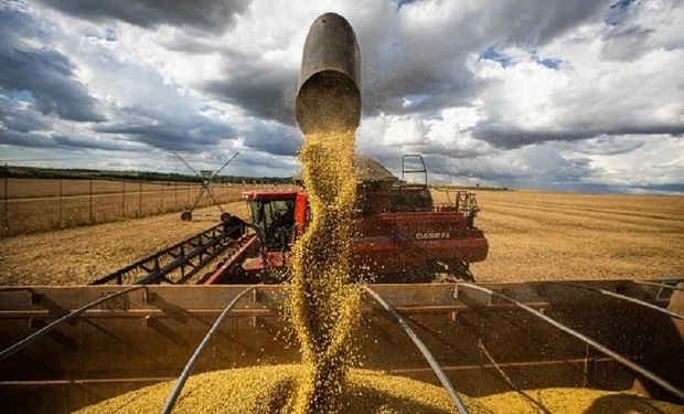 Soja, trigo y maíz: la oferta y demanda mundial en nueve gráficos y el dato que alertó al mercado