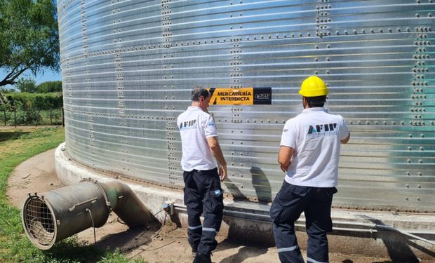 La AFIP compara a los granos con subsidios: detectó irregularidades "que equivalen a más de 12 mil becas Progresar"