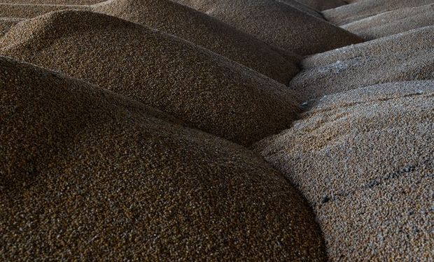 Contexto plagado de incertidumbre: trigo y maíz cayeron con fuerza ante el temor de una débil demanda