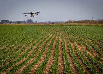 Sustentabilidade, digitalização e bioinsumos devem marcar o mercado de insumos em 2026