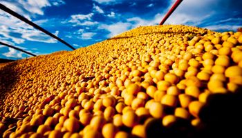 Demanda nos portos impulsiona mercado spot da soja no Brasil