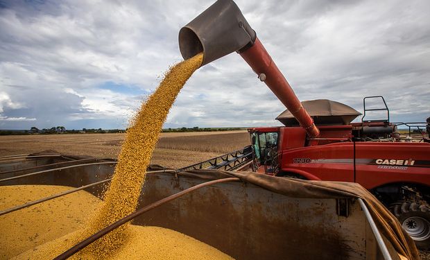 Sorpresa bajista para el precio de la soja y el maíz: los datos que profundizan la tendencia negativa