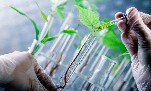 Mercado de bioinsumos atinge R$ 6,2 bilhões em vendas e área tratada cresce 28% em 2025