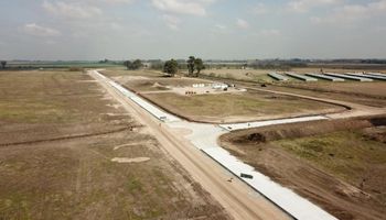Angus: aclaran las razones detrás de la compra de un campo en US$ 700.000