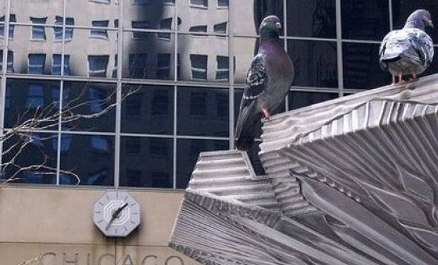 Modestas variaciones de cara al informe mensual del USDA.