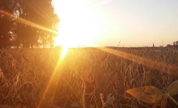 La semana termina positiva para los commodities agrícolas en Estados Unidos.