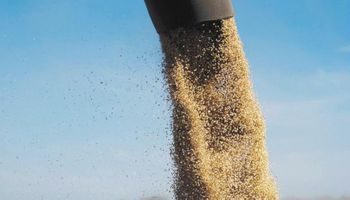 El mercado a término operó con subas ante la falta de lluvias