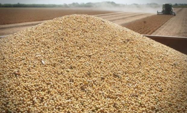 Leves variaciones, con soja en alza y cereales en baja.