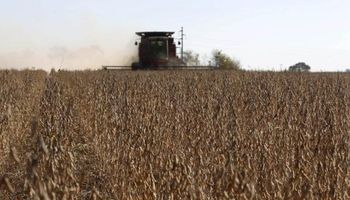 El atraso en la cosecha no logra otorgar sustento en CBOT