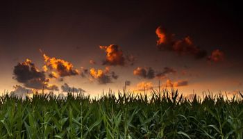 Clima favorable tiñó de rojo el cierre de Chicago