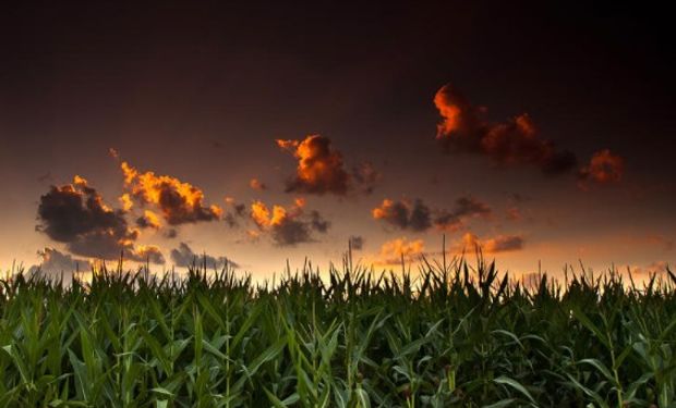 Clima favorable para el desarrollo de cultivos.