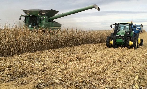 Subas para soja, trigo y maíz en Chicago, a la espera de un informe que puede cambiar la tendencia