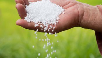 Fertilizantes: qué pasa en el mercado internacional y cómo se encuentra la relación de canje para soja, trigo y maíz