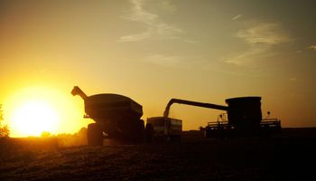 Récord en Matba-Rofex: en 2020 se negociaron 53,4 millones de toneladas de soja, trigo y maíz