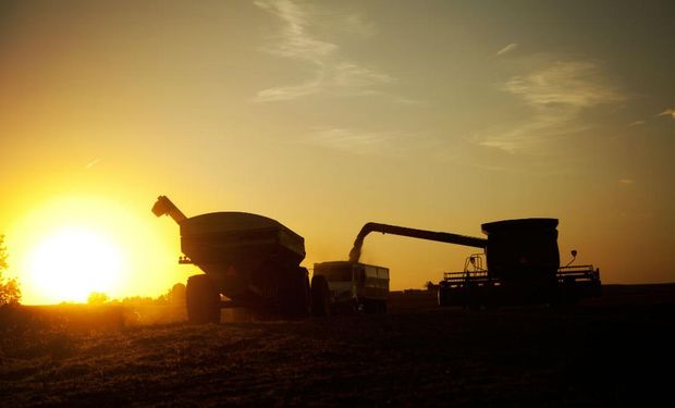 Récord en Matba-Rofex: en 2020 se negociaron 53,4 millones de toneladas de soja, trigo y maíz