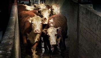 Valores atados a los ingresos