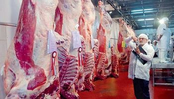 CRA denuncia que el enemigo de las exportaciones de carne bovina es el mismo Gobierno