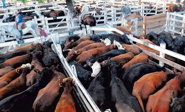 El final de las operaciones en el mercado de Liniers encontró una oferta por debajo de los 10 mil animales.