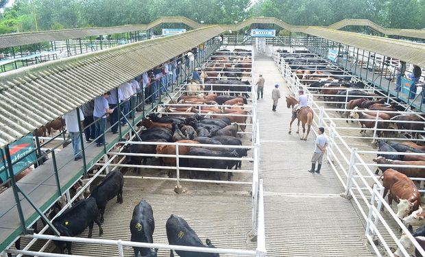 Mercado de Ganado Rosario