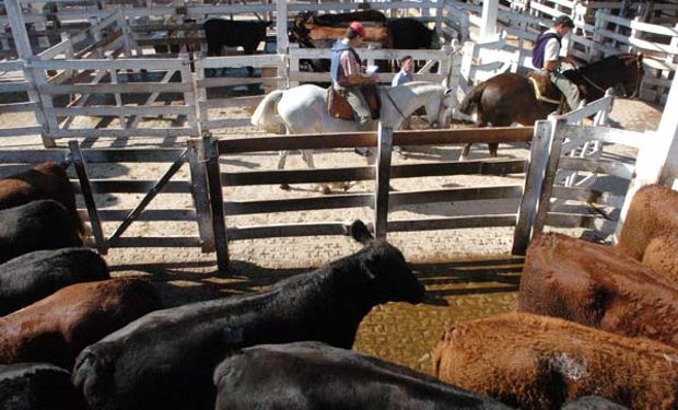 El cierre de semana mostró a un mercado con más de 10 mil cabezas en Liniers.