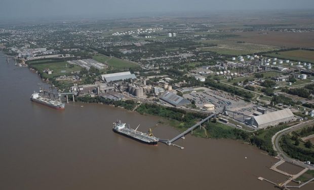 Industria aceitera: cinco operadores participan del negocio.