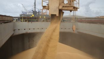 El embarque de granos fue récord en 2016