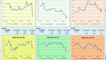 ¿Suben los granos en plena cosecha? Asi evolucionan los precios de soja y maíz en medio de la incertidumbre global