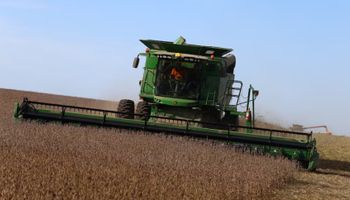 "Estamos preocupados": la decisión de Trump que sacude al agro argentino