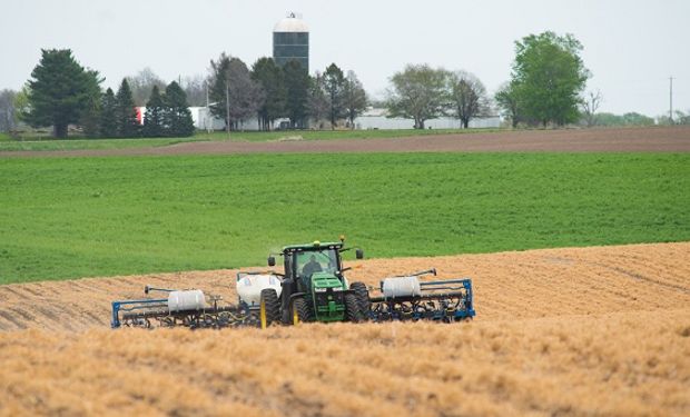 El mercado de granos está expectante de los datos de siembra y stocks en Estados Unidos