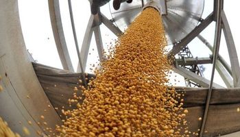 El mercado se reacomoda tras los datos del USDA 