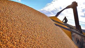 CBOT: factores bajistas parecen estar descontados en los precios