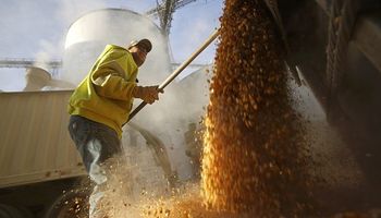 Mercado dividido entre una mayor oferta mundial y una demanda activa
