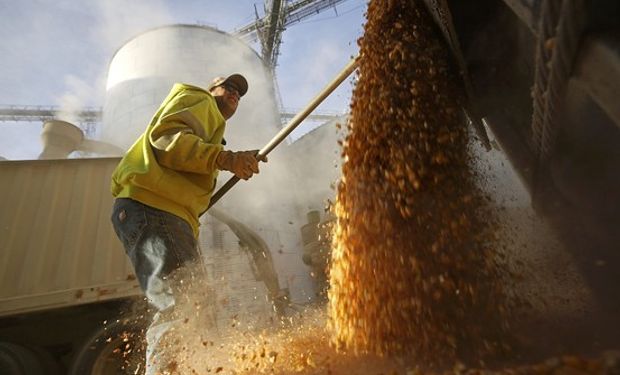 En la Argentina la trilla del cereal avanza a buen ritmo pero a fases muy primarias, con alrededor del 8% del total. Además, el programa de embarques recién comienza.