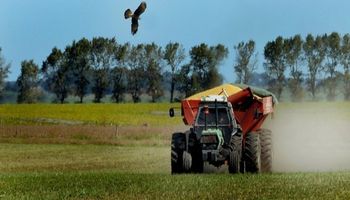 Aseguran que es un buen momento para tomar posición en soja y maíz