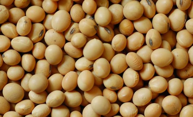 Una nueva suba para la soja en Chicago contagió al mercado local: todos los precios de Rosario