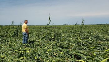 El mercado de granos busca cuantificar las pérdidas por la tormenta que afectó al Midwest