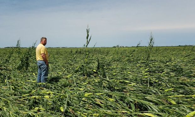 El mercado de granos busca cuantificar las pérdidas por la tormenta que afectó al Midwest