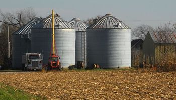 Un informe podría cambiar el rumbo del mercado de granos