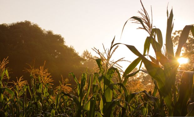 Mercados apuestan a efecto del buen clima