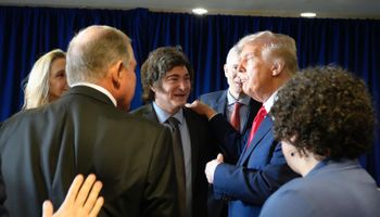 Desconcierto en el mercado de granos por un pedido de Estados Unidos sobre las retenciones: mientras tanto China ya compró 20 cargamentos de soja argentina