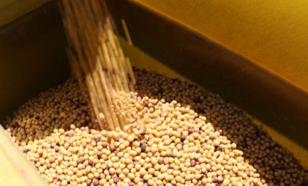 Sorpresa alcista: cómo impactó sobre los precios locales la fuerte suba para soja, trigo y maíz de Chicago