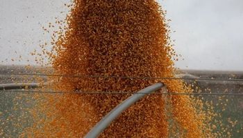 El mercado de granos no contará hoy con la referencia externa: los operadores siguen atentos a la demanda de China