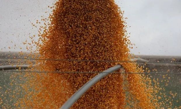 El mercado de granos no contará hoy con la referencia externa: los operadores siguen atentos a la demanda de China