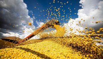 Productores piden extender las retenciones cero y alertan que será clave analizar la capacidad de pago de la exportación y la industria