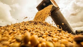 Soja: Estados Unidos comercializó el 98,3% del saldo exportable y hubo subas en Chicago