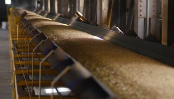 Mercado local: subió el precio de la soja y cayó la oferta por el trigo de la nueva campaña