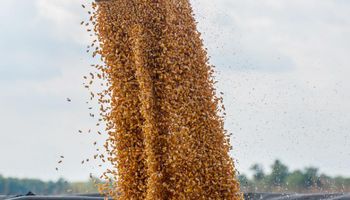 Informe del USDA: cómo impactan en soja, trigo y maíz los datos de abril